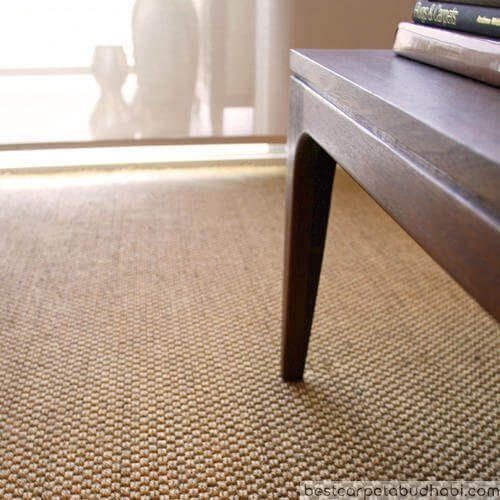 Sisal Carpets