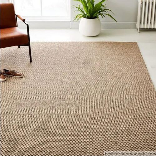 Sisal Rugs